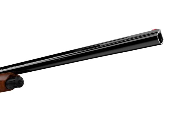 Espingarda Semiautomática Aselkon Inter Elegant Black Cal 12GA 28"